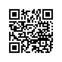 307050110M E RING (10 MULTIPLE)