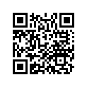 30753-MEG-H11 Wire, L. Rr.