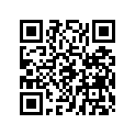 3089486 PISTON,.010