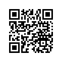 3090129 LEVER