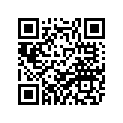 30X-14343-53-00 JET,MAIN (#106)