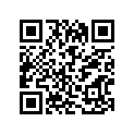 31131-95241 BRUSH(+)