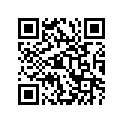 31173-99E00 HOLDERASSY,BRU