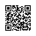 31211-PH9-004 BRUSH