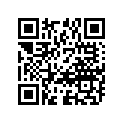 32500-95722 REGULATORASSY