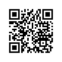 32925-958-000 Клип