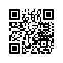 3306-132 SHIM,41*49*1.0
