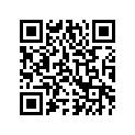 3306-133 SHIM,41*49*1.1