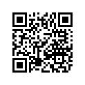 3306-135 SHIM,41*49*1.3