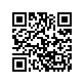 3306-961 SHIM T=2.75