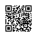 33100-292-674 LIGHT HEAD