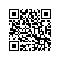 3333-041 O-RING,2-166