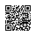 33405-377-671 Socket, R. Fr.
