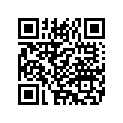 3374531 SHIFTBALL