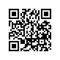 338001310M MAGNETO KEY