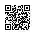 340241311CE
