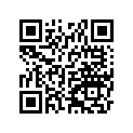 340280076 Step, Rubber