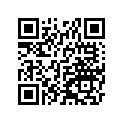 340281041