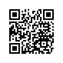 340281217 Step, Fr, Rubber