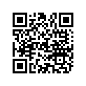 344863 GASKET