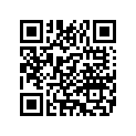 3461165A KITSHIFTERTOEPEG,SERVI