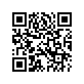 3467004 SHIFTERLEVER,CHROME