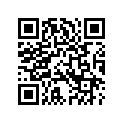 3474701B SUBASY,TRANSCASEBLACK