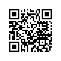 34X-25383-00-00