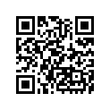 35063-0300-458 STAY,FR,RH,P.SILVER