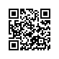 35100-49530-999