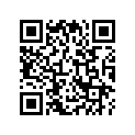 35341-ZZ3-740 RUBBER