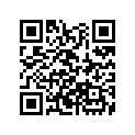 35645-ZV5-000 STAY