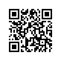 35R-25335-00-00 CAP 2