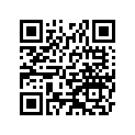 36014-1047 CASE-CHAIN,BLACK