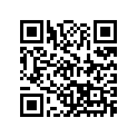 36120292 SHIM 10X17X0,15