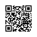 36120313 SHIM 10X17X0,30