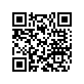 36120331 SHIM 10X31X0,15