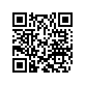 36120340 SHIM 10X33X0,20