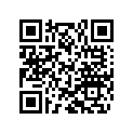 36120347 SHIM 10X31X0,25