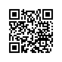 36120354 SHIM 10X29X0,30