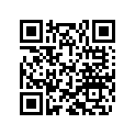 36120356 SHIM 10X33X0,30