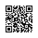 3621-929 DECAL,SLIDE ACTION