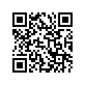 36620-98J50 DF300HARNESEXT