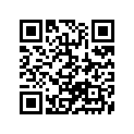 37146-03A00 Key, Blank (opt,type C)