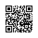37146-10F10-000 KEY,BLANK(INTRUDER)