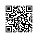 37146-41F10 Key, Blank (opt)