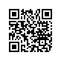 38657A1 SHIM SET