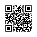 3884108K CLUTCHPLATEB