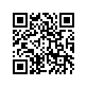 390611183