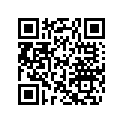 390911100 RIVET_POP 1/4
